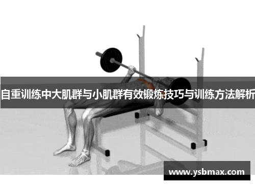 自重训练中大肌群与小肌群有效锻炼技巧与训练方法解析