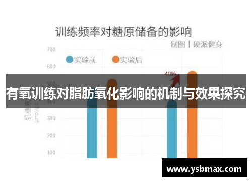 有氧训练对脂肪氧化影响的机制与效果探究